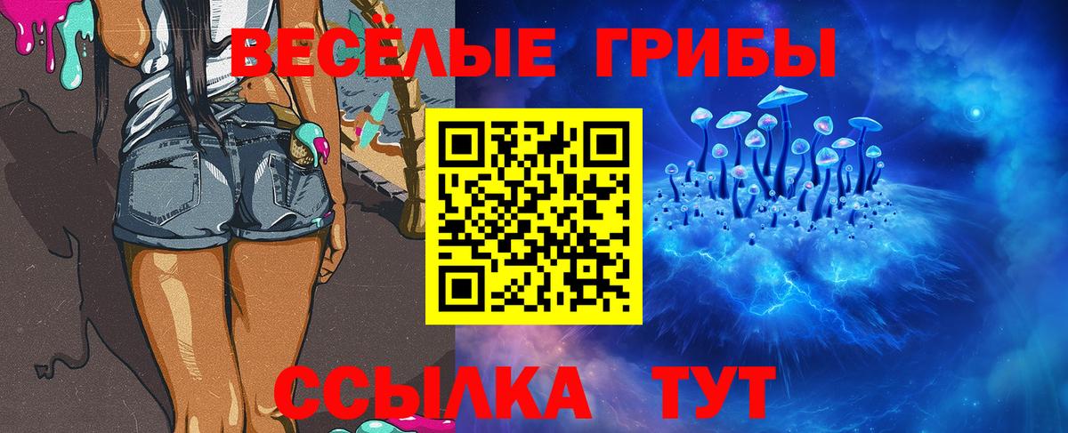Псилоцибиновые грибы GOLDEN TEACHER Усинск