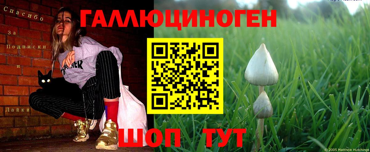Псилоцибиновые грибы Magic Shrooms  Вход с VPN  Галлюциногенные грибы мухоморы  Усинск 